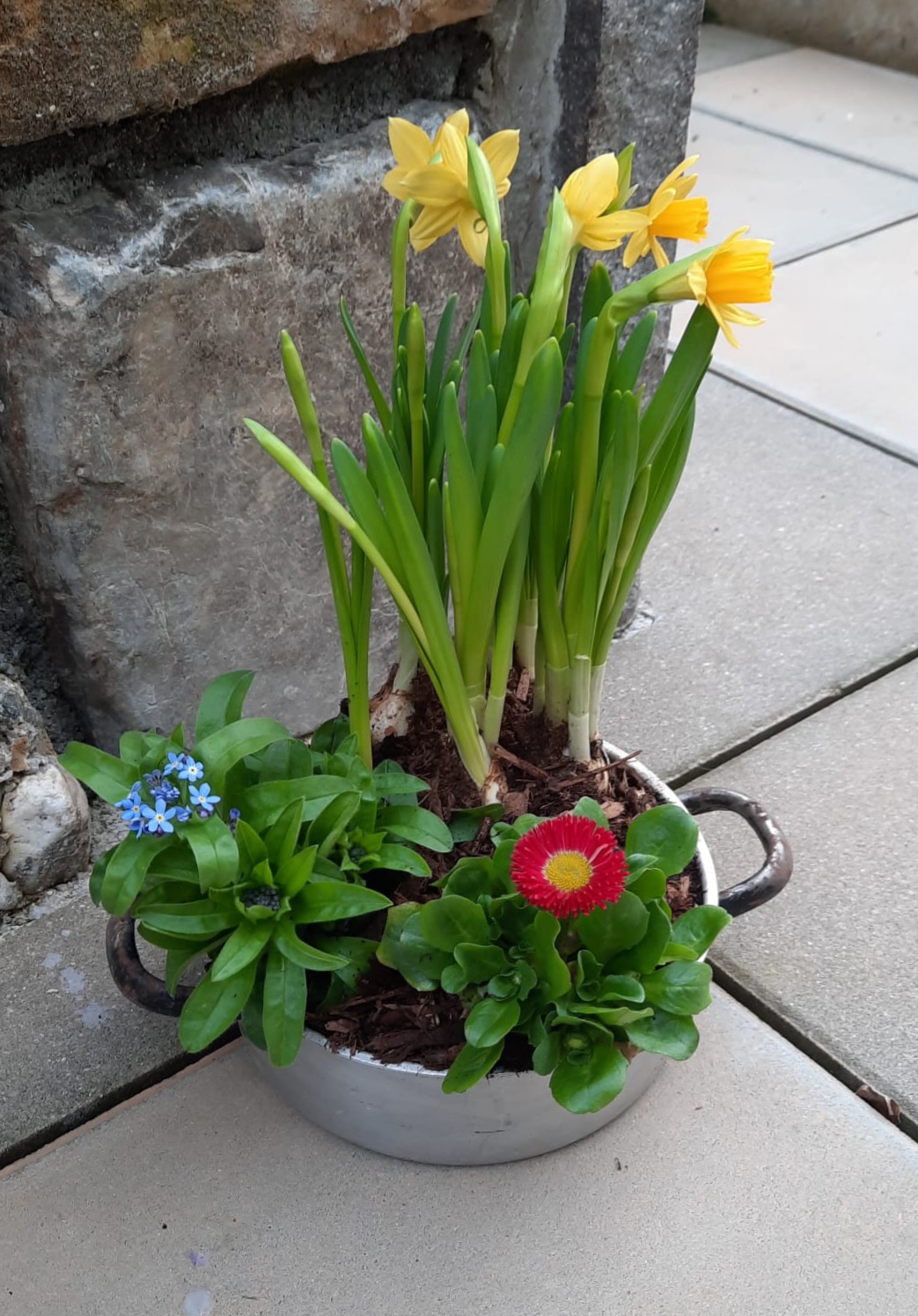 Blumentopf 1